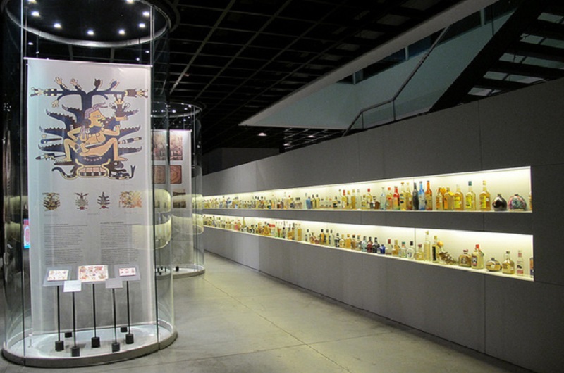 TEQUILA MUSEUM  0006 - Habibi World Travel & Tour